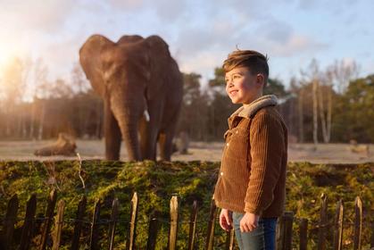 Safaripark Beekse Bergen